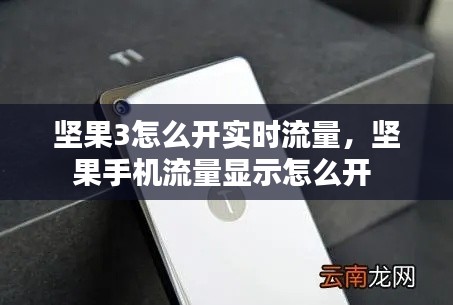 坚果3怎么开实时流量,坚果手机流量显示怎么开
