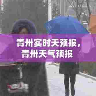 青卅实时天预报,青卅天气预报