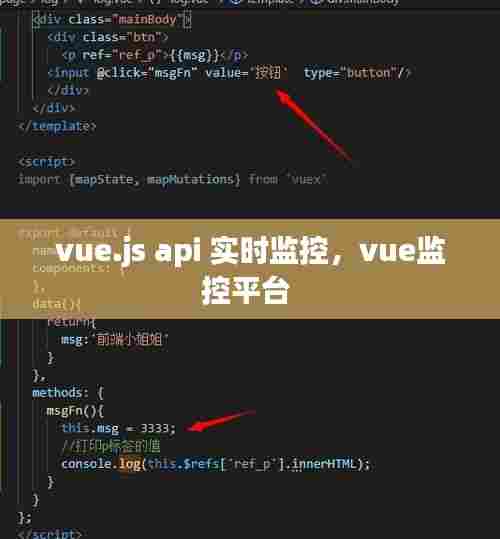 vue.js api 实时监控，vue监控平台 