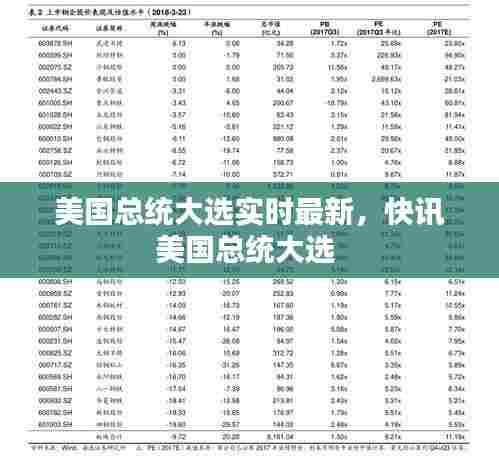 美国总统大选实时最新,快讯美国总统大选