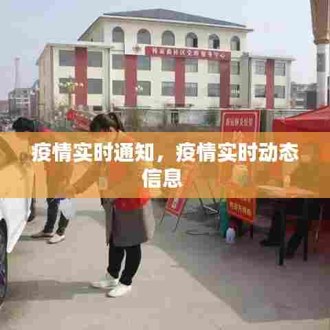 疫情实时通知,疫情实时动态信息