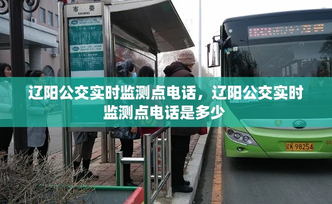 辽阳公交实时监测点电话,辽阳公交实时监测点电话是多少