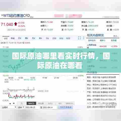 国际原油哪里看实时行情,国际原油在哪看
