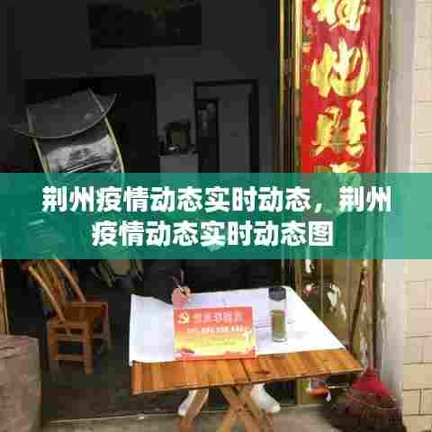 荆州疫情动态实时动态,荆州疫情动态实时动态图