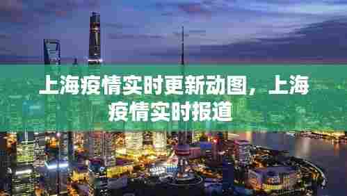 上海疫情实时更新动图,上海疫情实时报道