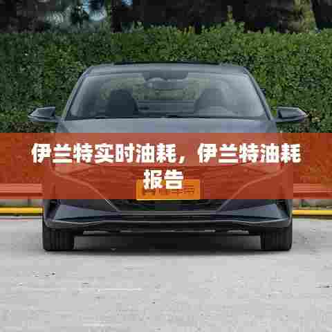 伊兰特实时油耗,伊兰特油耗报告