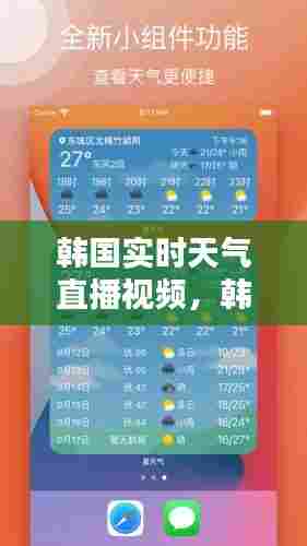 韩国实时天气直播视频,韩国天气预报网站