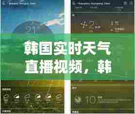 韩国实时天气直播视频,韩国天气预报网站