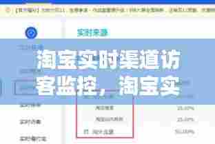 淘宝实时渠道访客监控,淘宝实时访客我的淘宝是什么意思