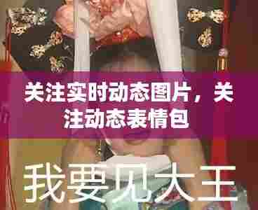 关注实时动态图片,关注动态表情包