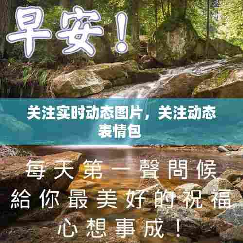 关注实时动态图片,关注动态表情包