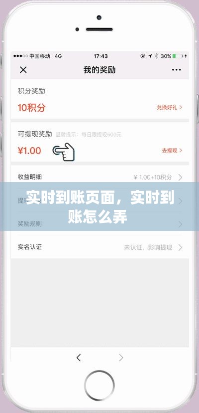 实时到账页面,实时到账怎么弄