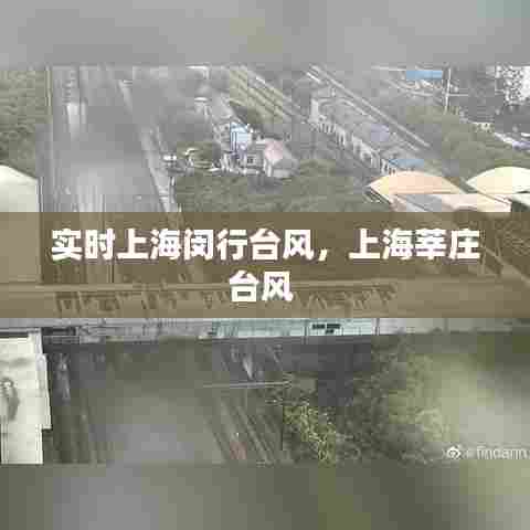 实时上海闵行台风,上海莘庄台风