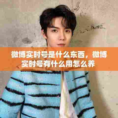 微博实时号是什么东西,微博实时号有什么用怎么养