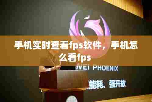 手机实时查看fps软件,手机怎么看fps
