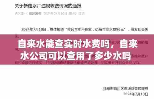 自来水能查实时水费吗,自来水公司可以查用了多少水吗