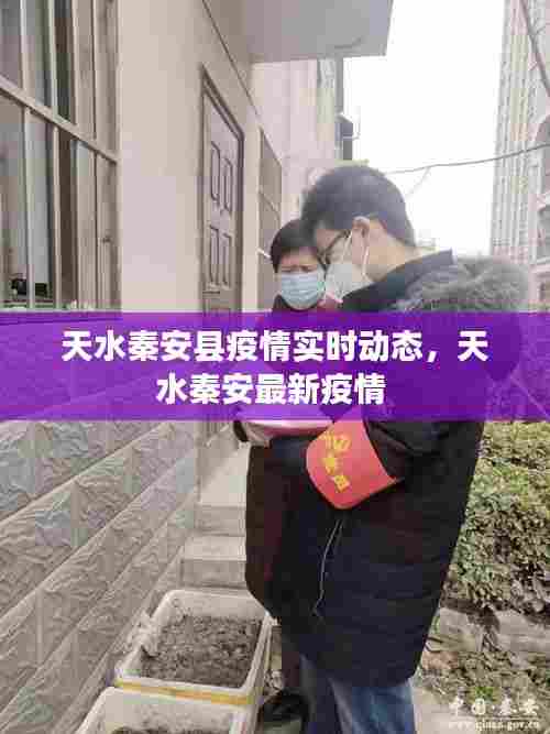 天水秦安县疫情实时动态,天水秦安最新疫情