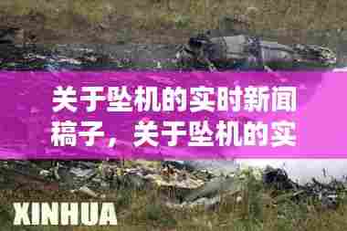 关于坠机的实时新闻稿子,关于坠机的实时新闻稿子范文
