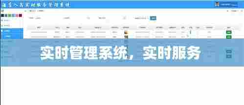实时管理系统,实时服务