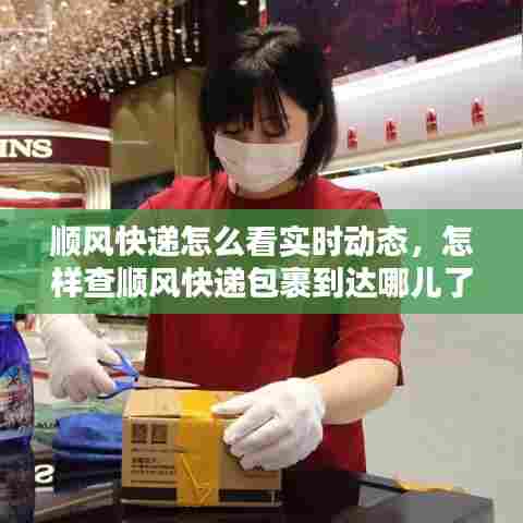 顺风快递怎么看实时动态,怎样查顺风快递包裹到达哪儿了