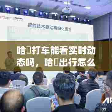 哈啰打车能看实时动态吗,哈啰出行怎么看实时位置