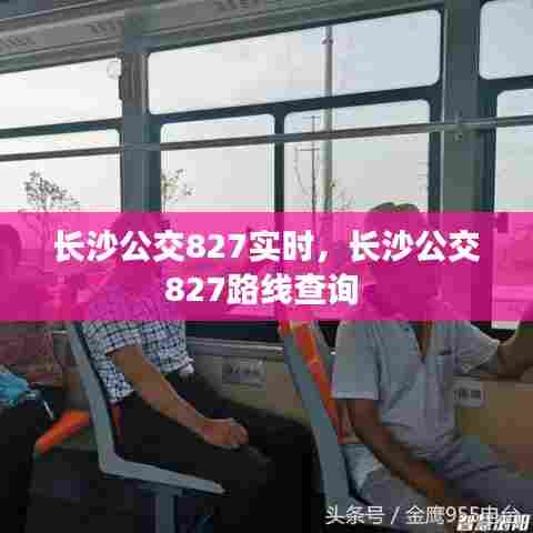 长沙公交827实时,长沙公交827路线查询