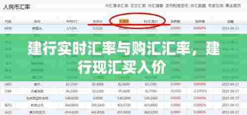 建行实时汇率与购汇汇率,建行现汇买入价