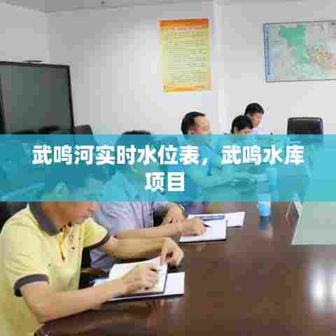 武鸣河实时水位表,武鸣水库项目