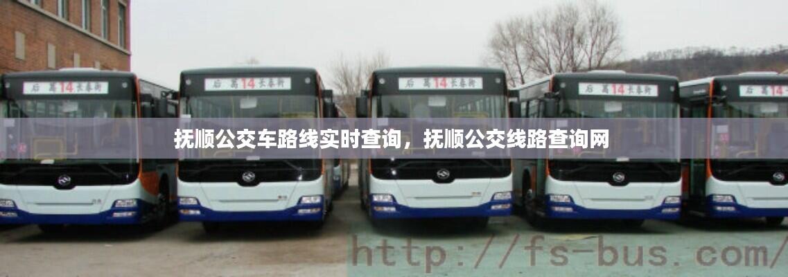 抚顺公交车路线实时查询,抚顺公交线路查询网