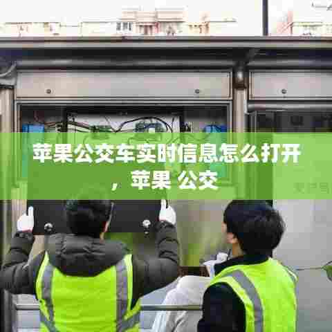 苹果公交车实时信息怎么打开,苹果 公交