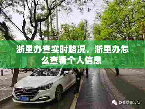 浙里办查实时路况,浙里办怎么查看个人信息