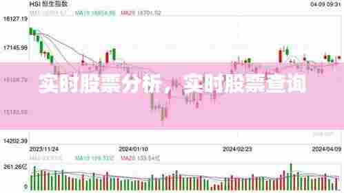 实时股票分析,实时股票查询