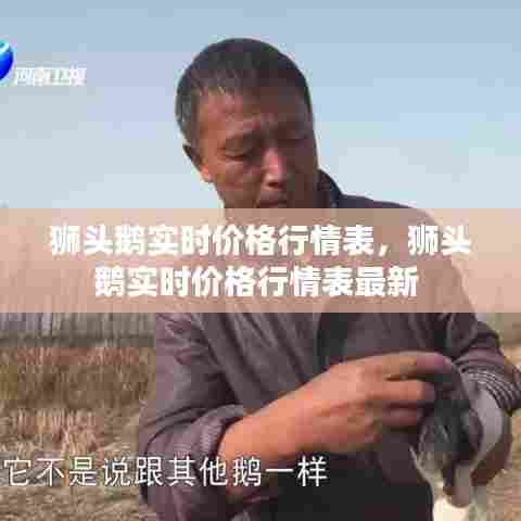 狮头鹅实时价格行情表,狮头鹅实时价格行情表最新
