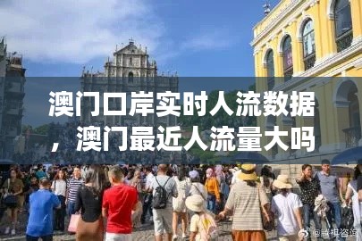 澳门口岸实时人流数据,澳门最近人流量大吗?