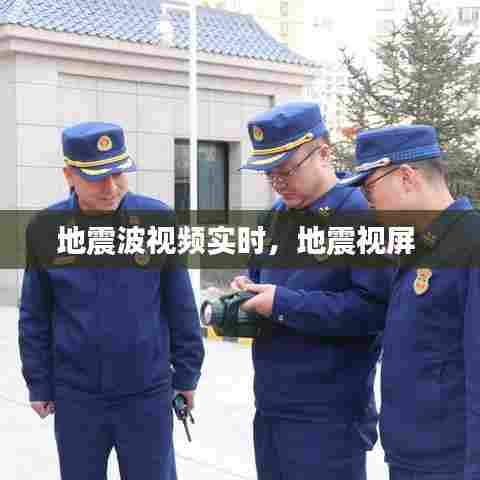 地震波视频实时,地震视屏