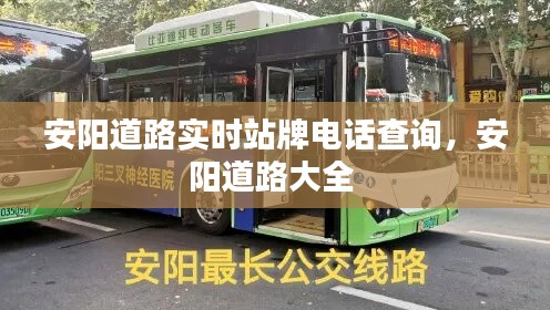 安阳道路实时站牌电话查询,安阳道路大全