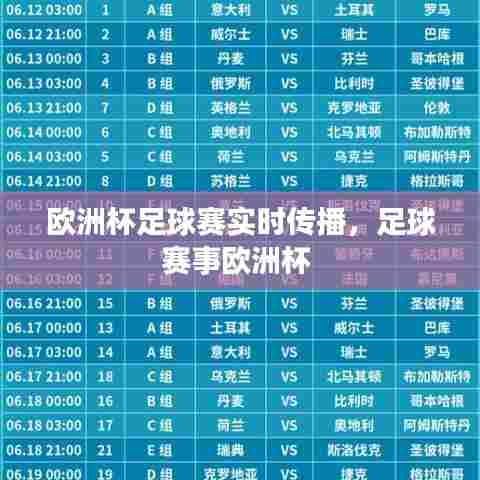 欧洲杯足球赛实时传播，足球赛事欧洲杯 