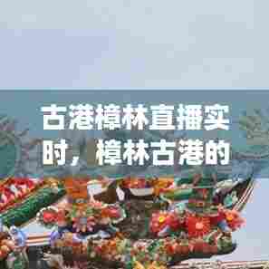 古港樟林直播实时,樟林古港的历史故事