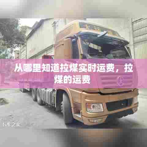 从哪里知道拉煤实时运费,拉煤的运费