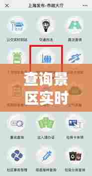 查询景区实时人数，查看景区人数 