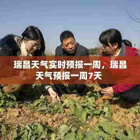 瑞昌天气实时预报一周,瑞昌天气预报一周7天