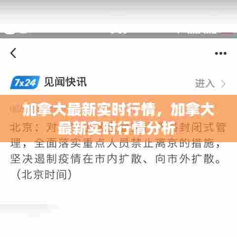 加拿大最新实时行情，加拿大最新实时行情分析 