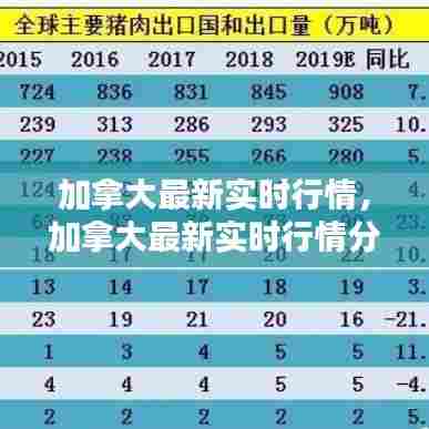 加拿大最新实时行情,加拿大最新实时行情分析