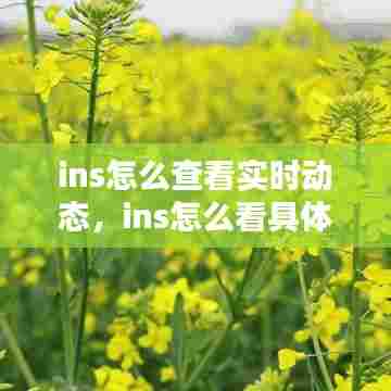 ins怎么查看实时动态,ins怎么看具体时间