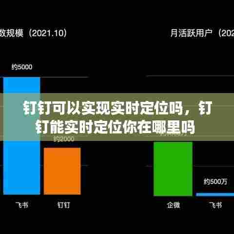 钉钉可以实现实时定位吗,钉钉能实时定位你在哪里吗