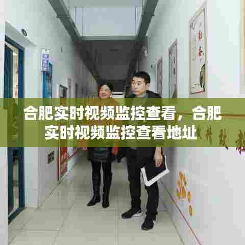 合肥实时视频监控查看,合肥实时视频监控查看地址