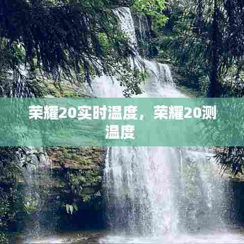 荣耀20实时温度,荣耀20测温度