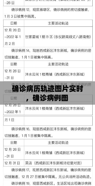 确诊病历轨迹图片实时,确诊病例图
