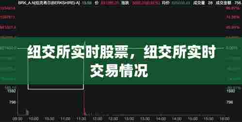 纽交所实时股票,纽交所实时交易情况