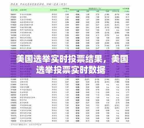 美国选举实时投票结果,美国选举投票实时数据